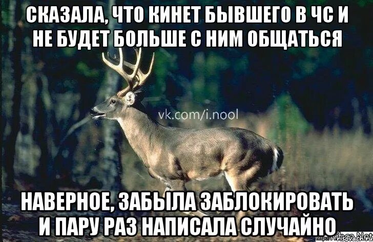 Работает пару раз был