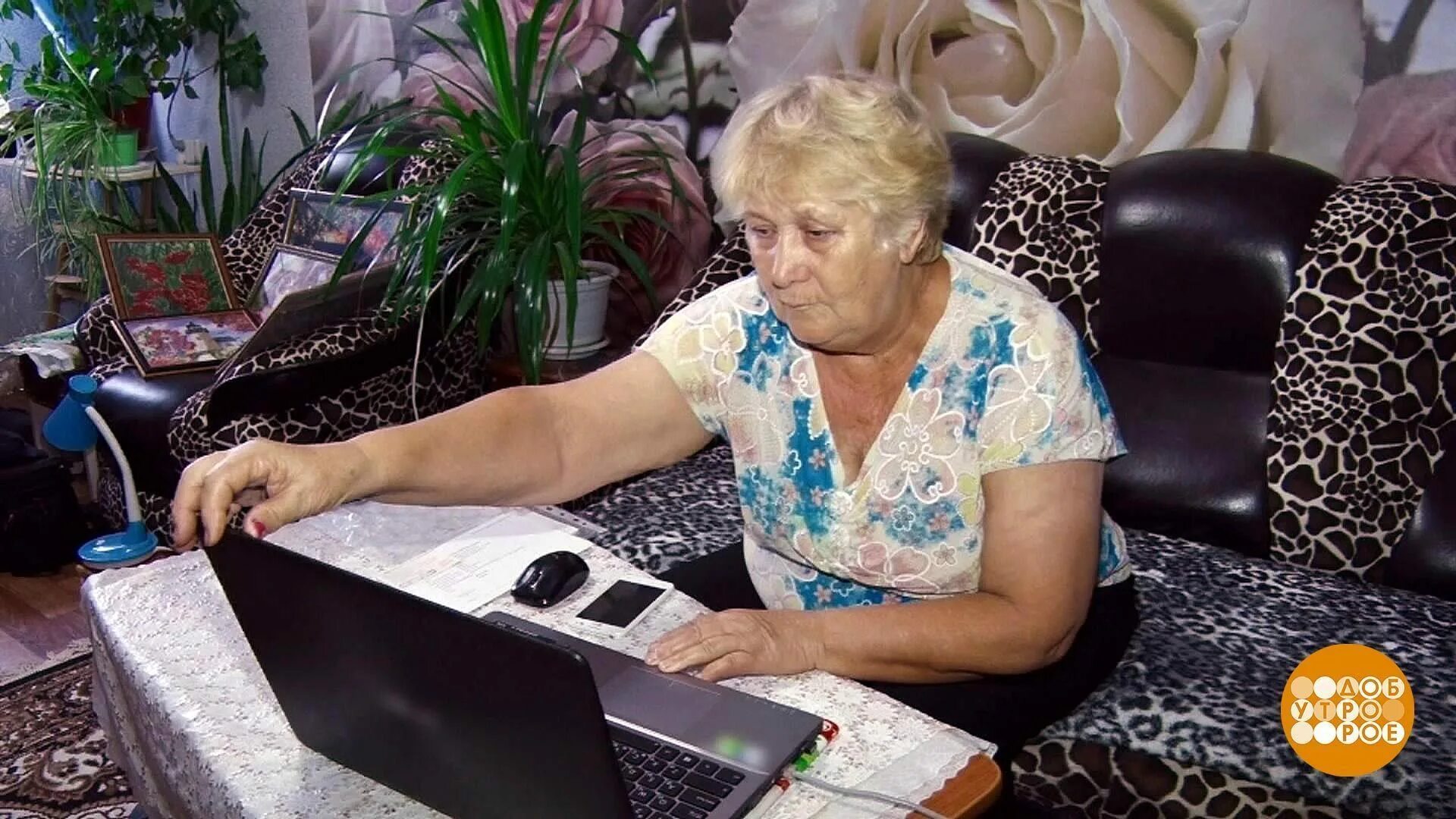 Бабушка в никольском. Бабушки ани в батайске живут. Потерялась бабушка. Спасатели дверь. Бабушка в никольском.