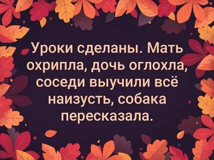 Соседи выучили уроки