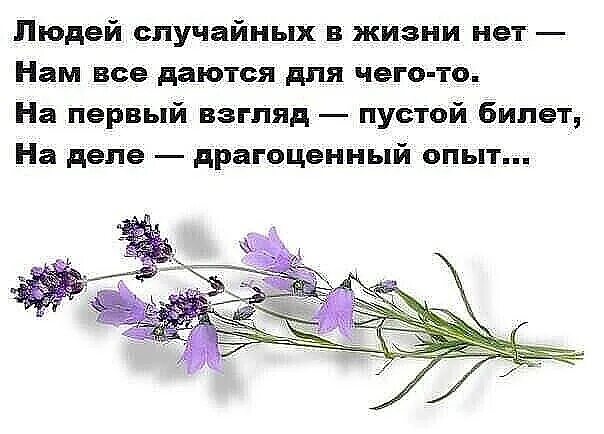 Жизнь появилась случайно. Афоризмы про случайности. Случайных людей в нашей жизни не бывает. Случайные люди цитаты. Цитаты про случайность.