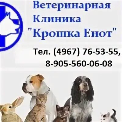 Крошка енот ветклиника Челябинск ЧМЗ. Ветеринарная клиника в Челябинске на ЧМЗ. Крошка енот ветклиника Челябинск телефон ЧМЗ. Крошка енот ветклиника Челябинск ЧМЗ Сталеваров.