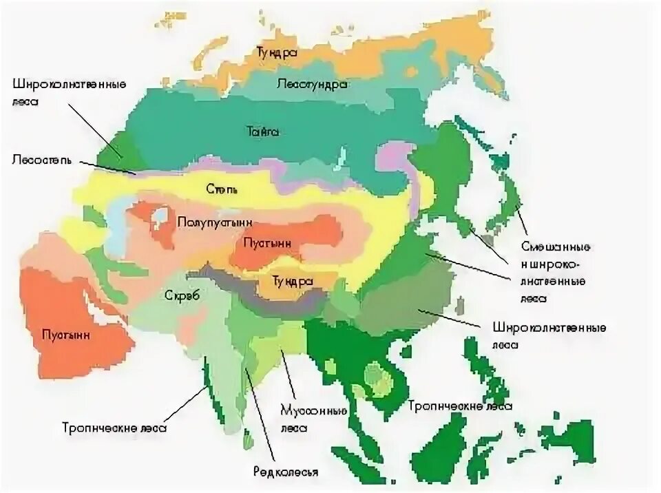 Азия зон. Карта природных зон Азии. Карта природных зон Восточной Азии. Карта природных зон зарубежной Азии. Климатические пояса Юго Восточной Азии.