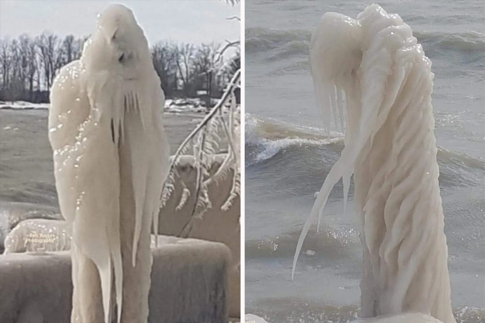 Зубы ледяного приведения