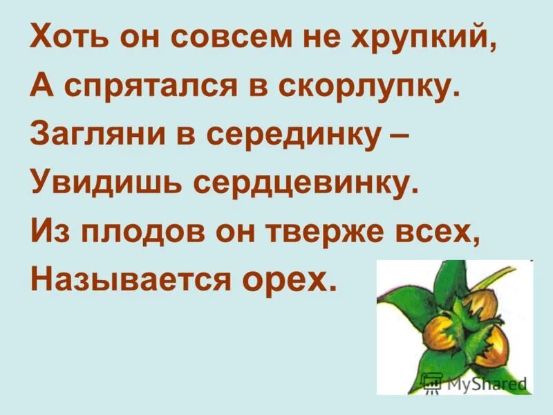 Хоть и совсем не. Он совсем не хрупкий а спрятался в скорлупке заглянешь в середину. Он совсем не хрупкий. Хоть он вовсе не большой. Проверочное слово к слову скорлупа скорлупка.