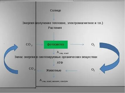 Запас энергии