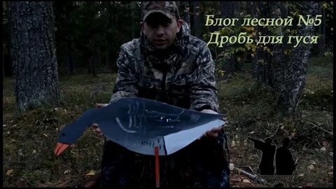 Дробь на гуся осенью