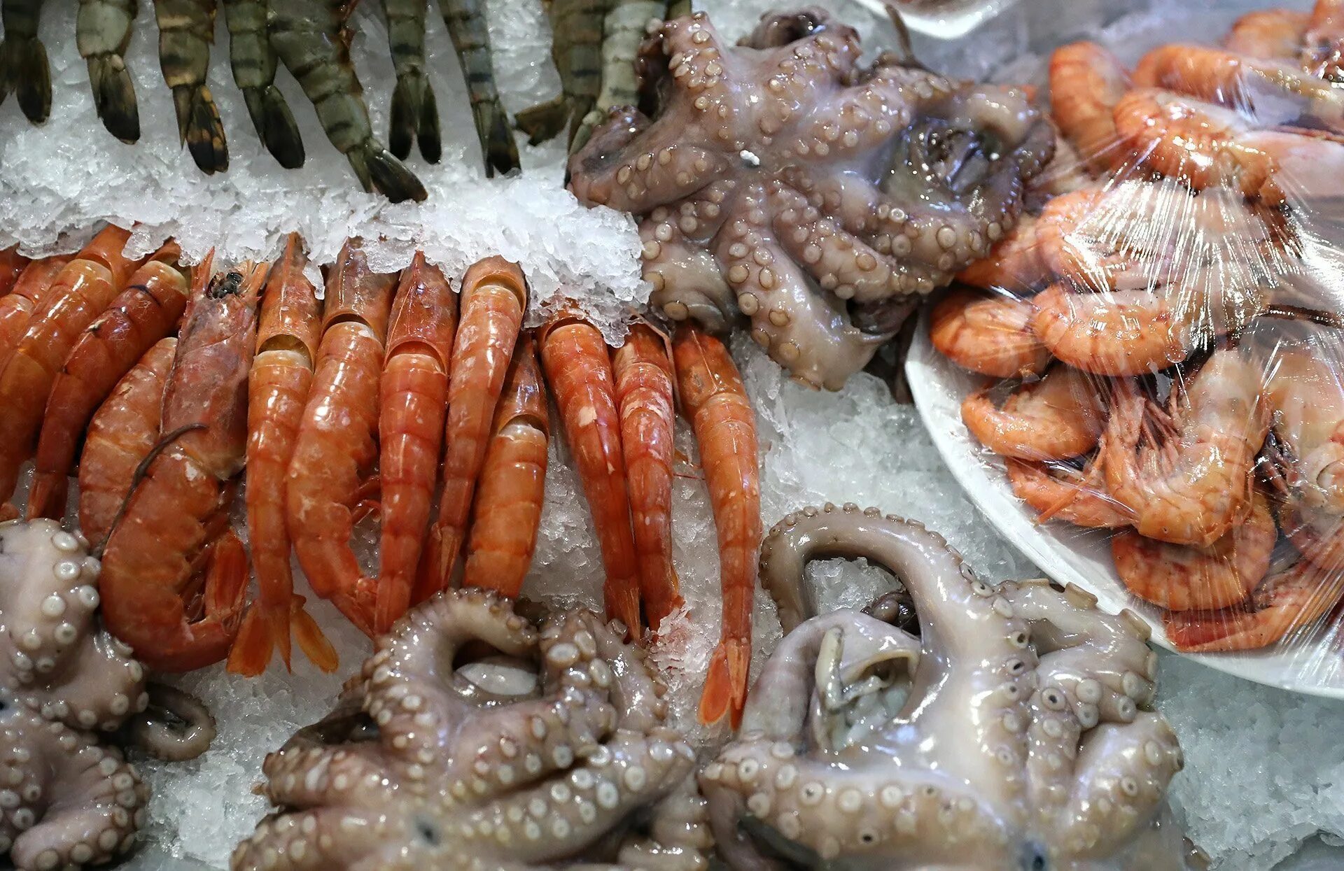 Ассорти из морепродуктов. Опасные морепродукты. Отзывы морские деликатесы. Фестиваль морепродуктов. Морская деликатесная композиция.