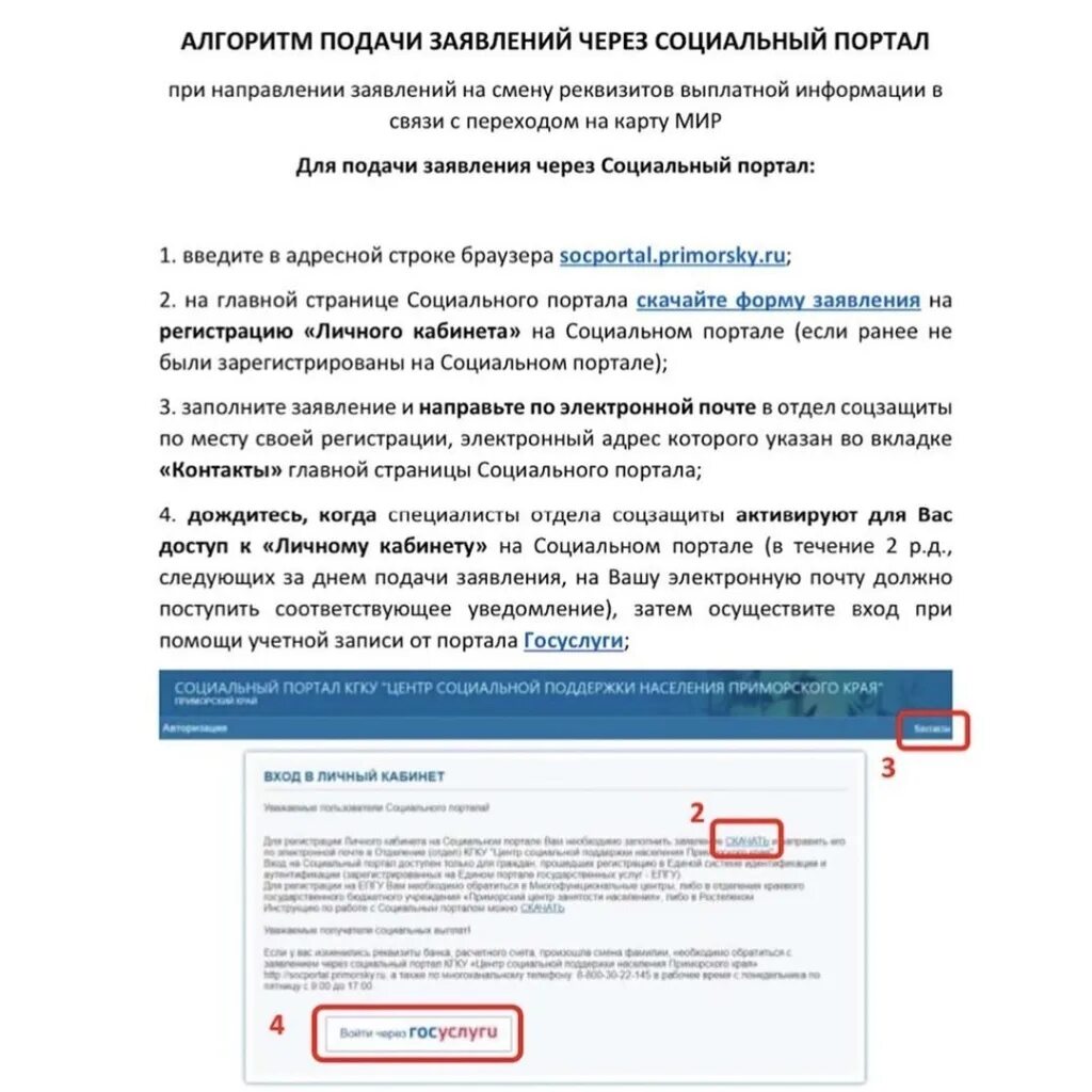Социальная защита приморского края. Центр социальной поддержки населения Приморского края. Социальный портал населения Приморского края. Приморский край социальные выплаты коды. Отдел социальных выплат контакты Приморского края.