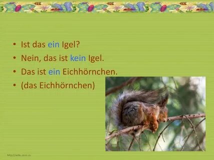 Das ist kein