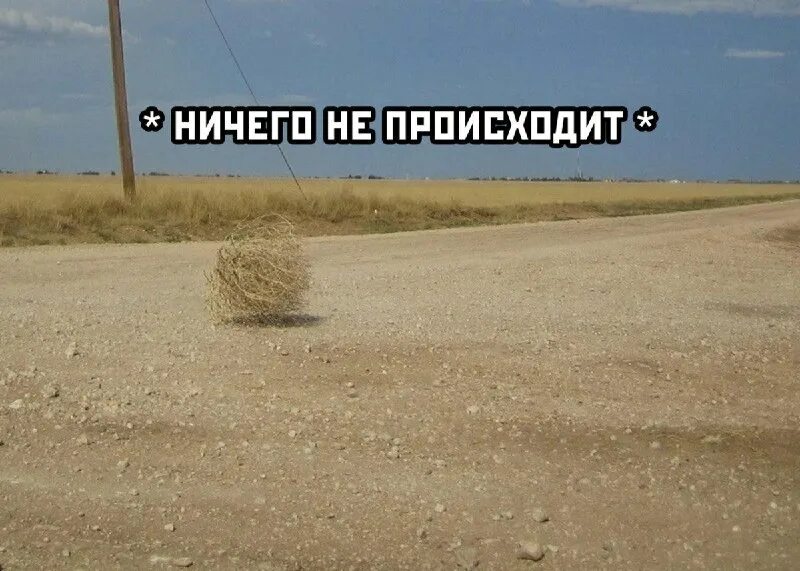 Тупое поле. Мексика перекати поле. перекати поле в пустыне. киану ривз перекати поле. перекати-поле растение.