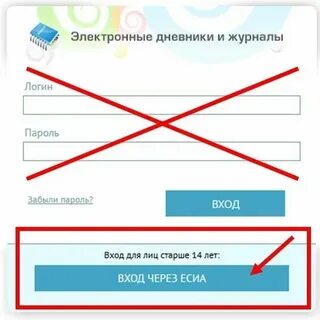 School 48 электронный дневник