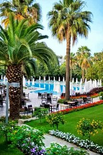 Barut hemera отзывы