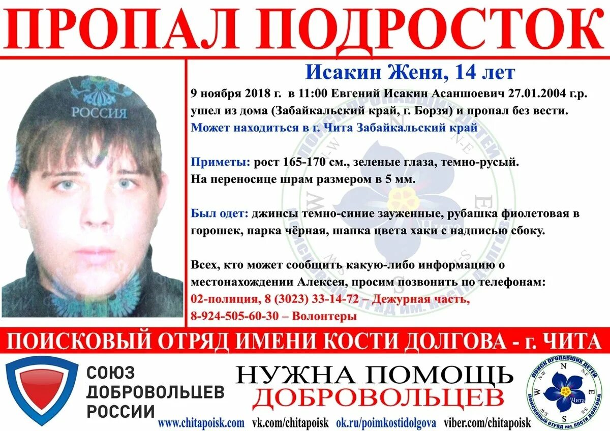 криминал город борзя. номера телефонов окнов пластиковые. такси муравей чита шерловая гора. харанор борзинский район. интернет в борзе.