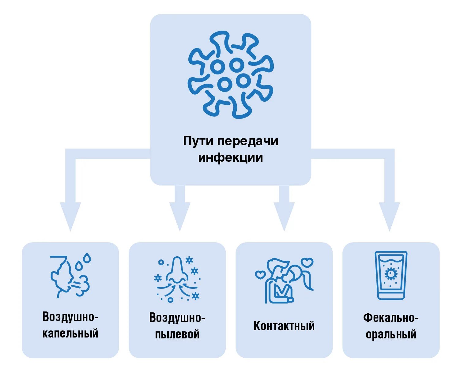 Короновирусная инфекция covid. Основной путь передачи коронавирусной инфекции. Основные способы передачи новой коронавирусной инфекции. Основные пути передачи новый коронавирусная инфекция. Пути распространения коронавирусной инфекции.