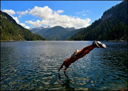 Swim in the lake