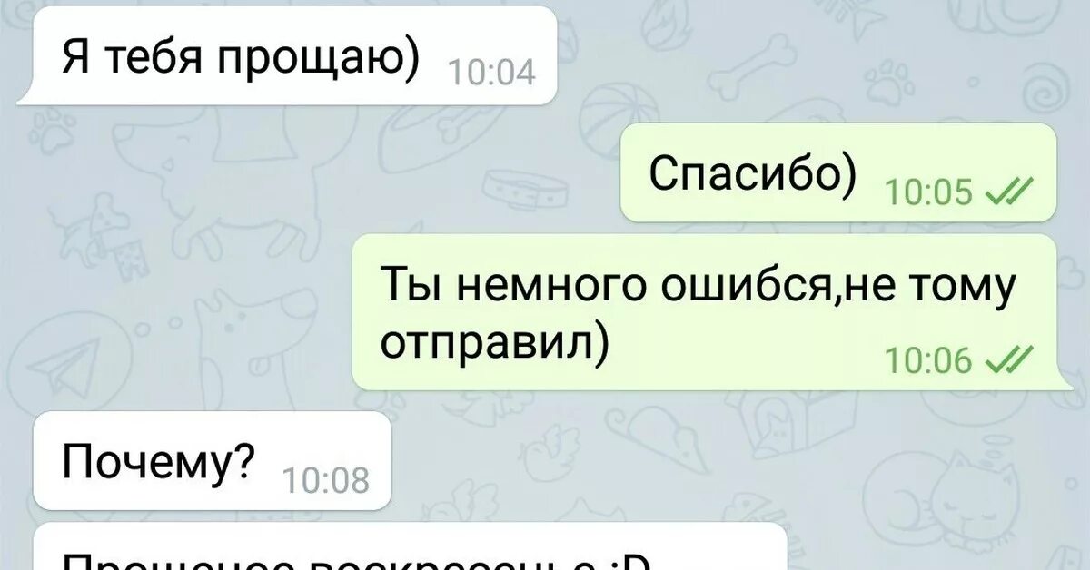 Кастрированный кот после наркоза. Ошибся мем. Ошибся немного. Немного ошиблись страной. Ошибся немного.