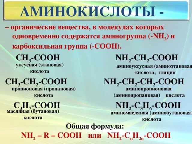 Этановая кислота глицин. Соон-сн2-сн2-со-соон. Сн3-СН-соон. Сн3 СН соон nh2. Сн3 сн2 соон название