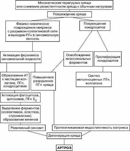 Деформирующий артроз патогенез. Остеоартрит схема патогенез. Деформирующий остеоартроз патогенез. Деформирующий остеоартроз этиология патогенез. Деформирующий остеоартрит патогенез.
