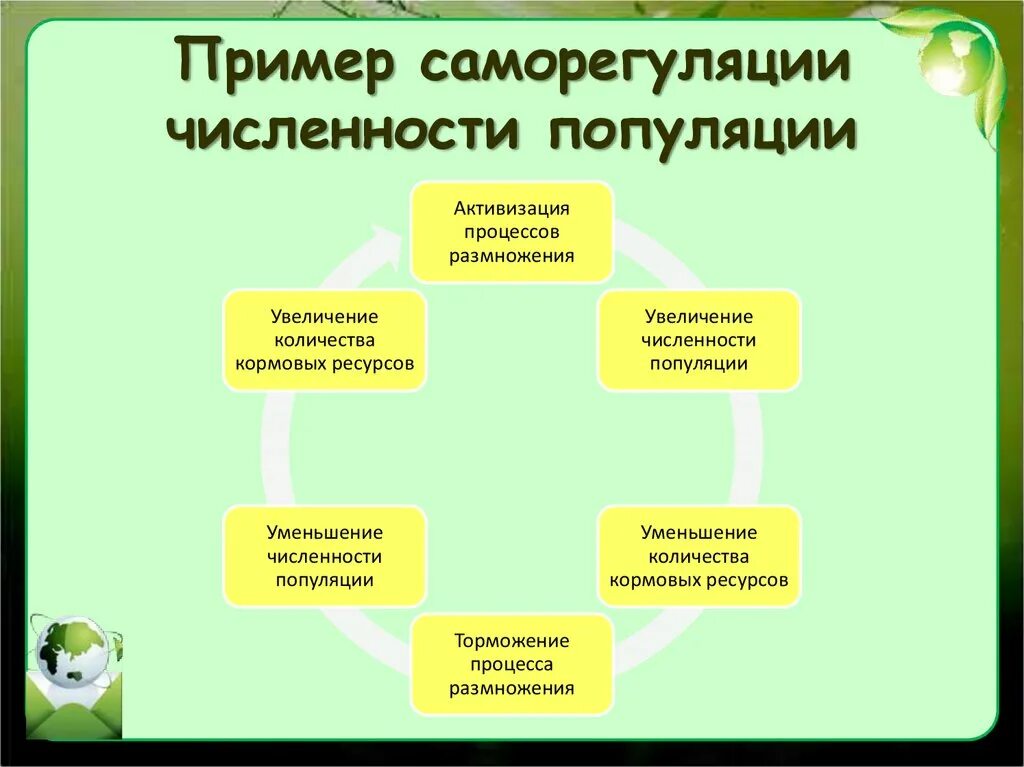 Саморегуляция численности популяций. Саморегуляция примеры. Саморегуляция популяции примеры. Механизмы саморегуляции популяции.