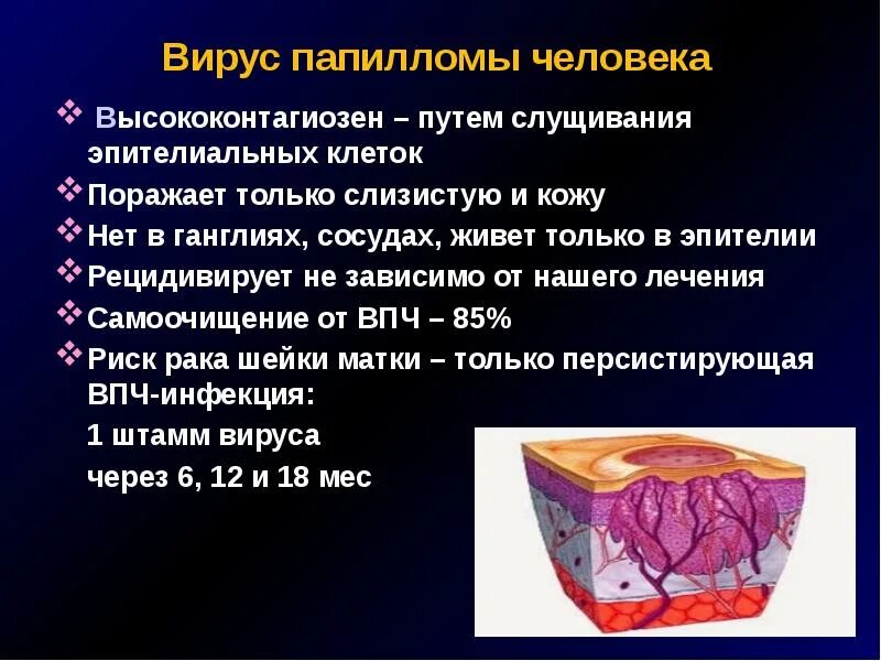 Вирус папилломы человека презентация. Вируспопиломы человека. ВИУС папиломы человека. Папилломы вирус папилломы.