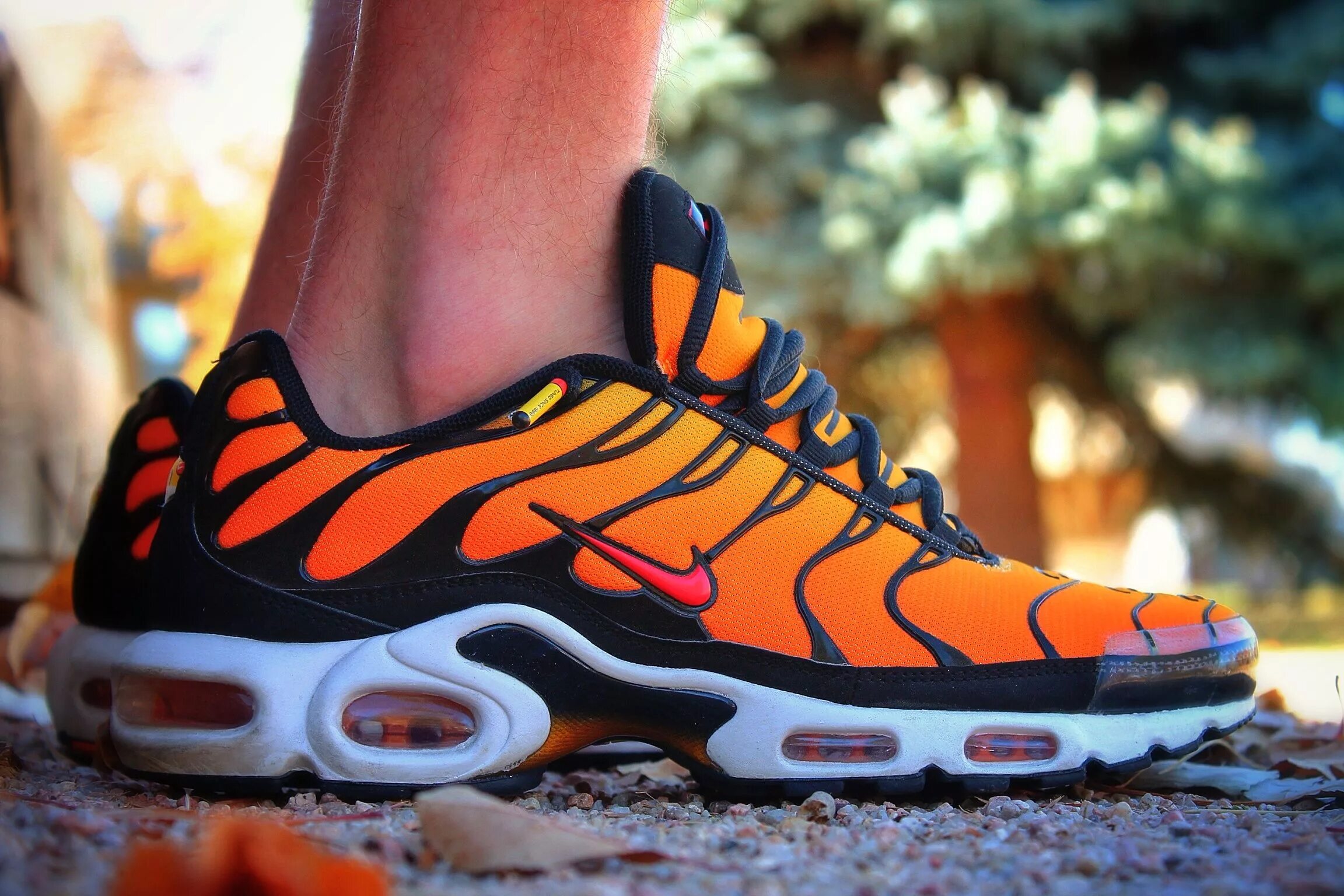 Nike Air Max TN Plus. Nike Air TN Plus. Nike Air Max TN. Nike Air Max TN Plus 3. Кроссовки аир макс плюс