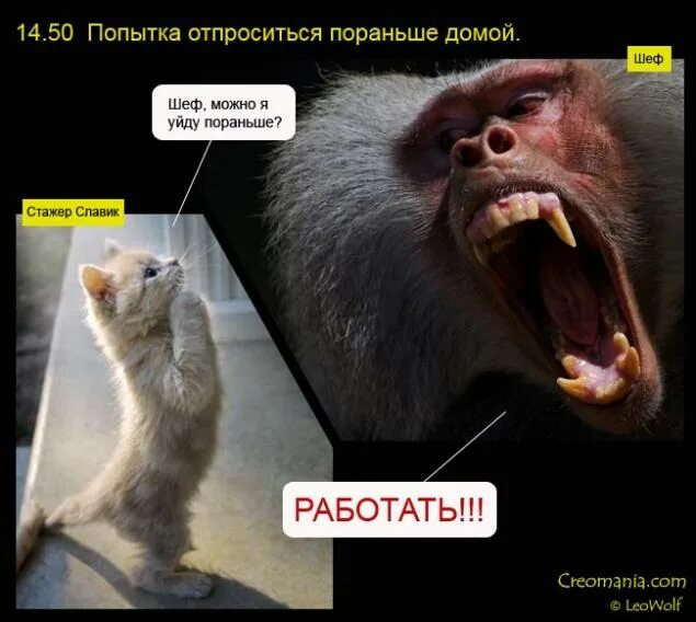 Можно уйти домой. Пятница пораньше с работы. пятница домой с работы. отпроситься домой с работы. пораньше домой с работы.