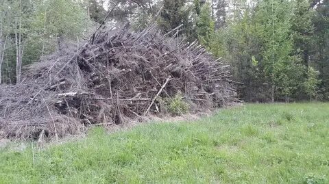Без куч
