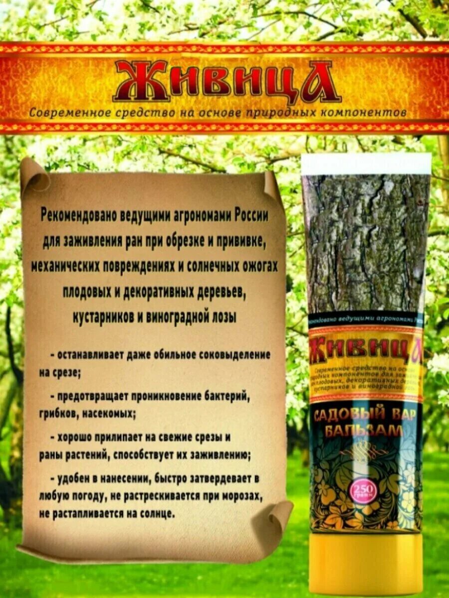 Воск для дерева живица. Смола сосны. Хвойное дерево смола янтарь. Воск живица. Живица грунтовочное масло.