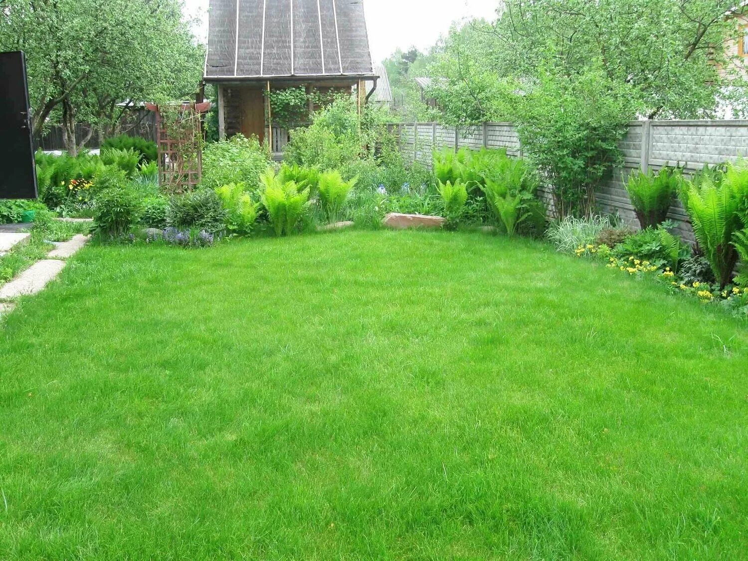 зеленые участки на территории. боскет в лесном ландшафте. газон элитный партерный. газон американ грин. газон «садово-парковый» зеленый.