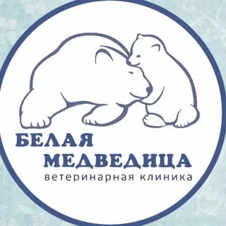 Ветклиника белая медведица