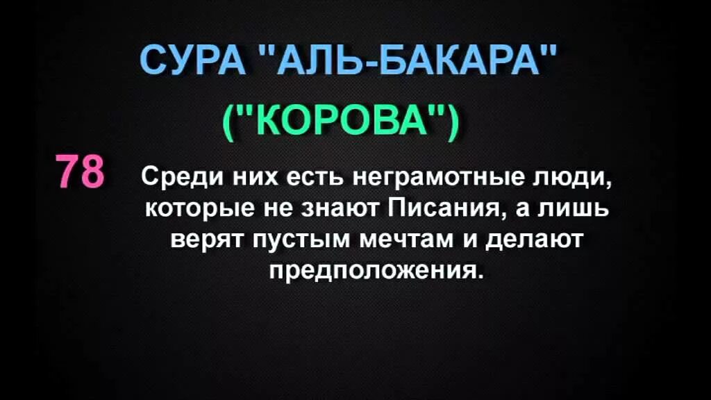 Красивое чтение суры бакара. Сура корова. Аль Бакара. Сура Аль Бакара корова. Сура 2 корова.