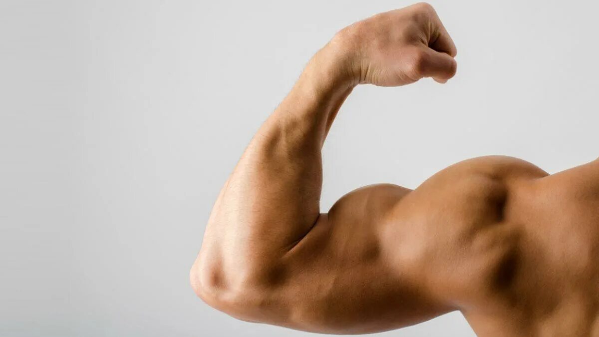 Расслабленный бицепс. Широкая накаченная спина. Бицепс расслабленный. Расслабленный бицепс. Расслабленный бицепс.