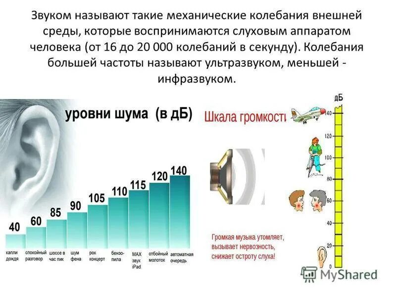 Звук вызывающий боль. Воздействие акустических колебаний шума на человека. Диапазон слуха человека в Гц. Интересное о шуме. Шумовые и звуковые звуки.