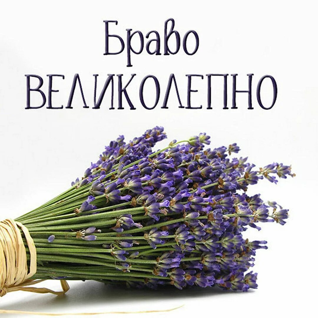 Благодарю тебя хорошего дня. Благодарю взаимно. спасибо взаимно. взаимно открытка. здравствуй.