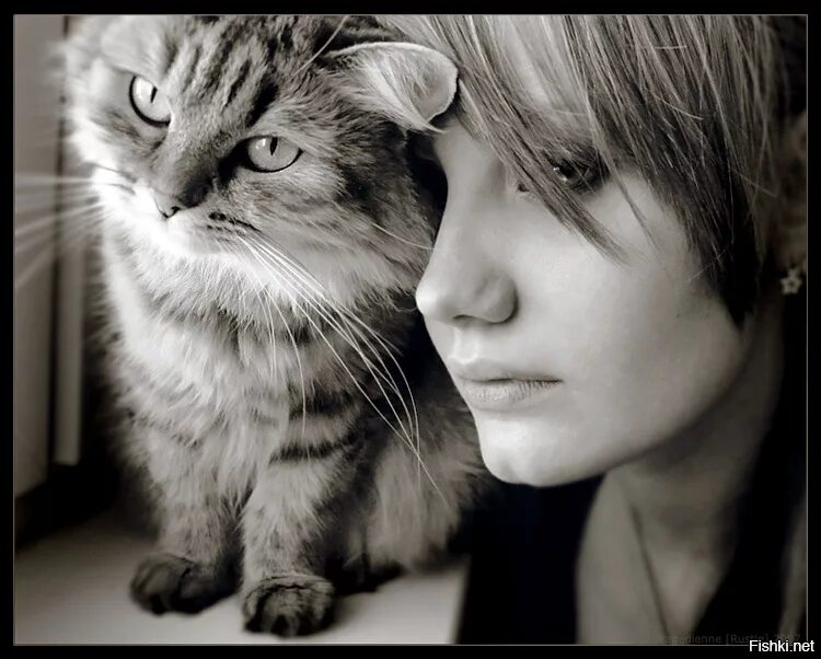 Картинка девушка с кошкой. Девушка с котом. Красивая девушка с кошкой. Фотосессия с кошкой. Девушка кошечка.