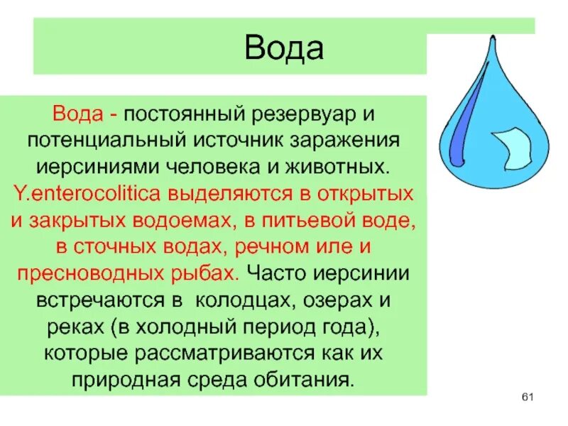 Заражение через тесты. Заболевания воды. Вода как источник заражения. При каком заболевании вода может служить источником заражения тест. Зоонозные заболевание воды воды.