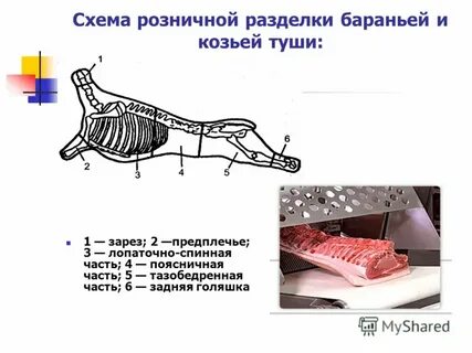Схемы разделки туш