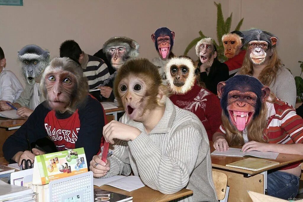 Обезьяны 1 класс. Класс обезьян. Смешные обезьянки. Обезьяна за партой. Класс обезьян в школе.