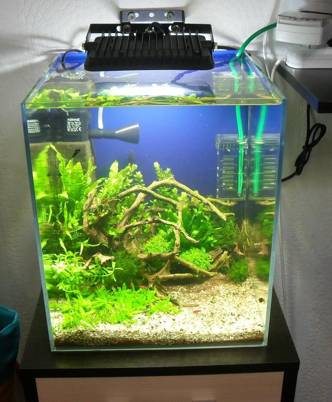 Аквариум aquael shrimp set. Аквариум акваэль 20 литров куб. Aquael shrimp set 10. Аквариум aquael shrimp set 30. Акваэль аквариум куб.