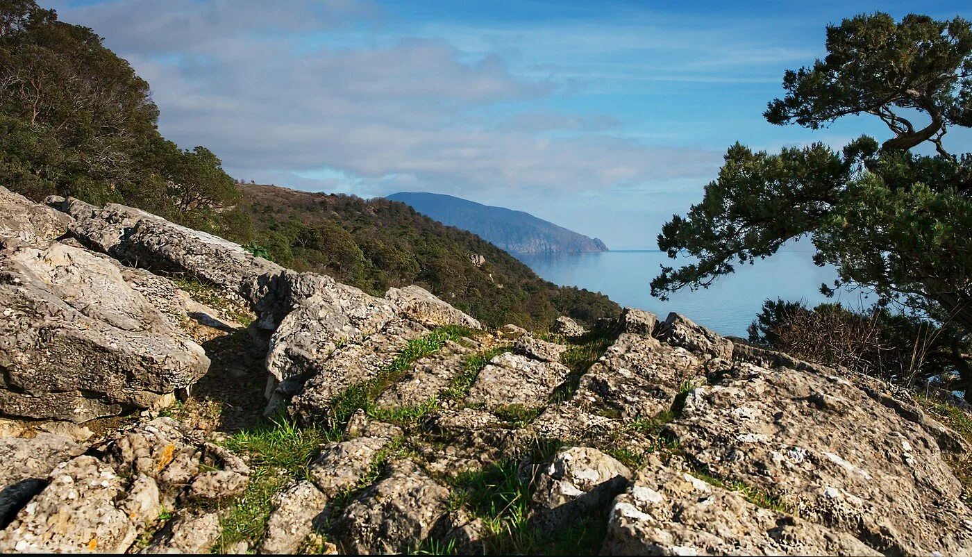 Где в крыму заповедники. Мыс Мартьян Ялта. Заповедник Мартьян Крым. Мыс Мартьян заповедник. Никитский Ботанический сад мыс Мартьян.