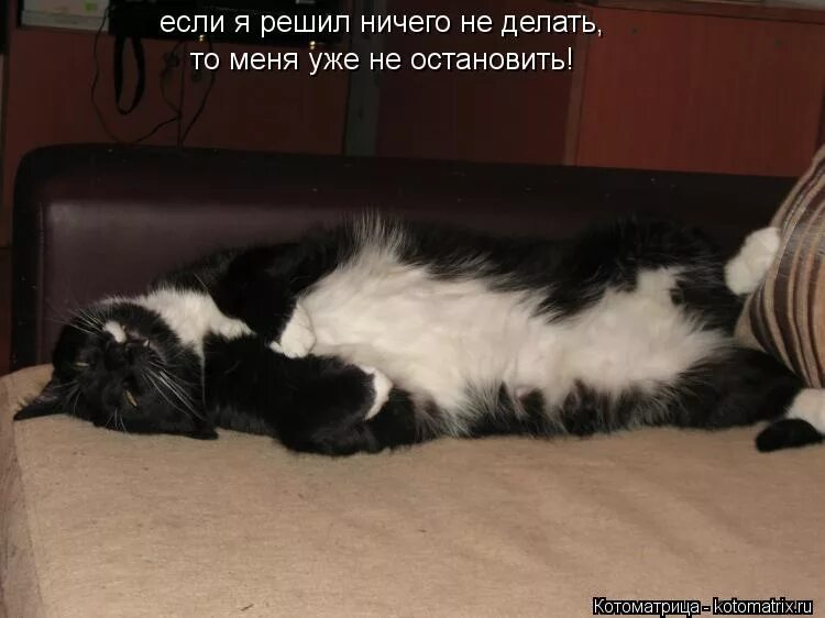 ничего не делать картинки. вам что делать нечего. планы на вечер. ничего не делать картинки. что будет если ничего не делать.