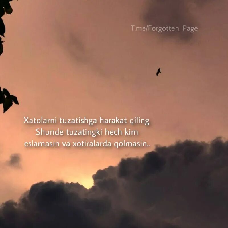 Yuragimning havf hatarlari. Yaxshimisan. Urushamiz yarashamiz lekin baribir sevishamiz. Forgotten page. Forgotten page.