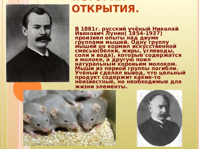 Доклад об истории открытия витаминов. Открытия лунина. Лунин открыл витамины. Открытия лунина. История появления витаминов.