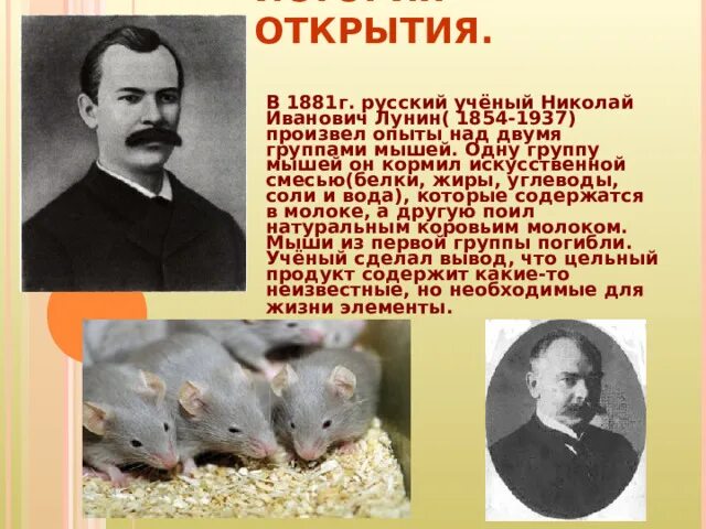 Лунин и мыши. Открытие витаминов эксперимент Лунина.