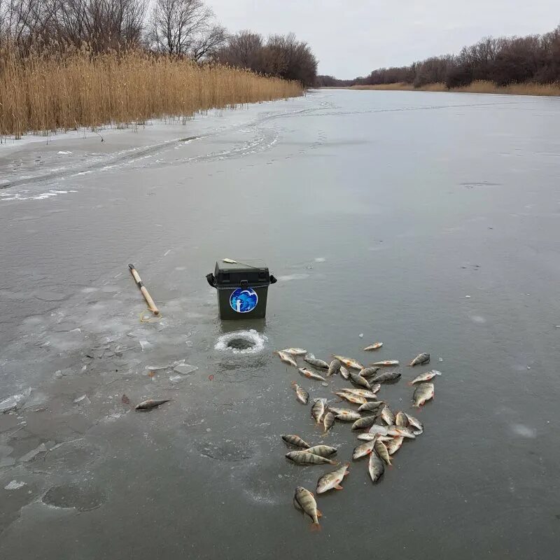 Бисерово русфишинг форум. Бисеровское озеро рыбалка. Платная рыбалка в ставрополе. Бисерово русфишинг форум. Рыбалка в машково.