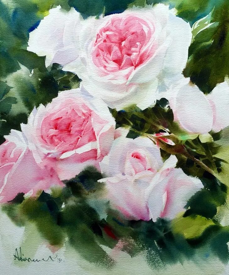1 большая роза акварель. описание розы акварель. садовая роза акварель. описание розы акварель. Doris joa дорис джоа акварельная живопись.