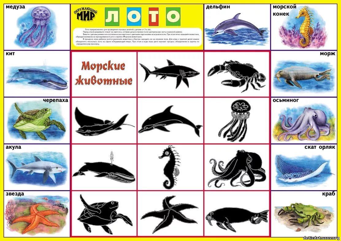 Перечисли морских животных