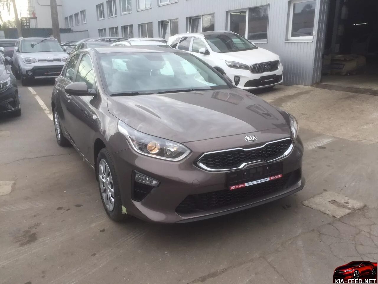 Сид сд. Kia Ceed SW Copper Stone. Ceed SD. Ceed CD Gray. Авто цвет Kia l2, l2b - Copper Stone.