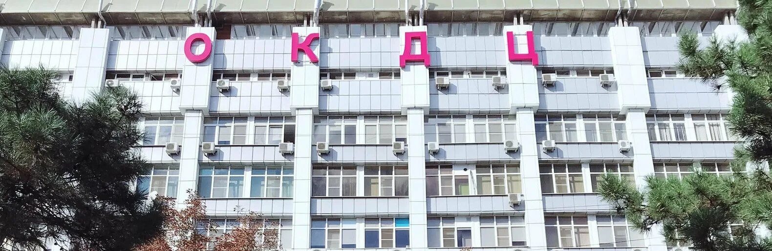 Окдц ростов пушкинская запись к врачу. Пушкинская 127 ростов-на-дону. пушкина 127 окдц. окдц на пушкинской ростов-на-дону. областной диагностический центр ростов на дону на пушкинской.