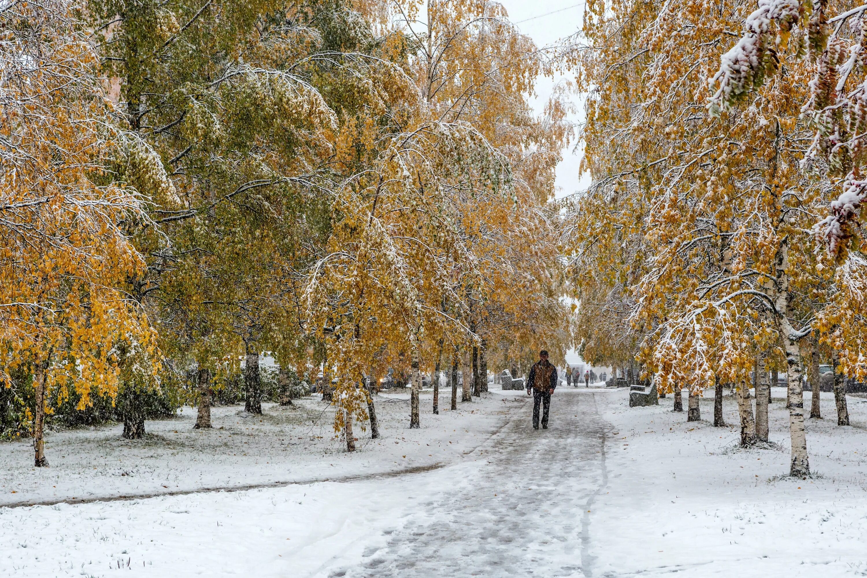 Первый снег. Первый снег в Москве. Ноябрь в городе. Снежная осень в городе.